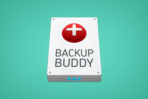 De 5 beste WordPress back-up plugins om je website veilig te herstellen 29