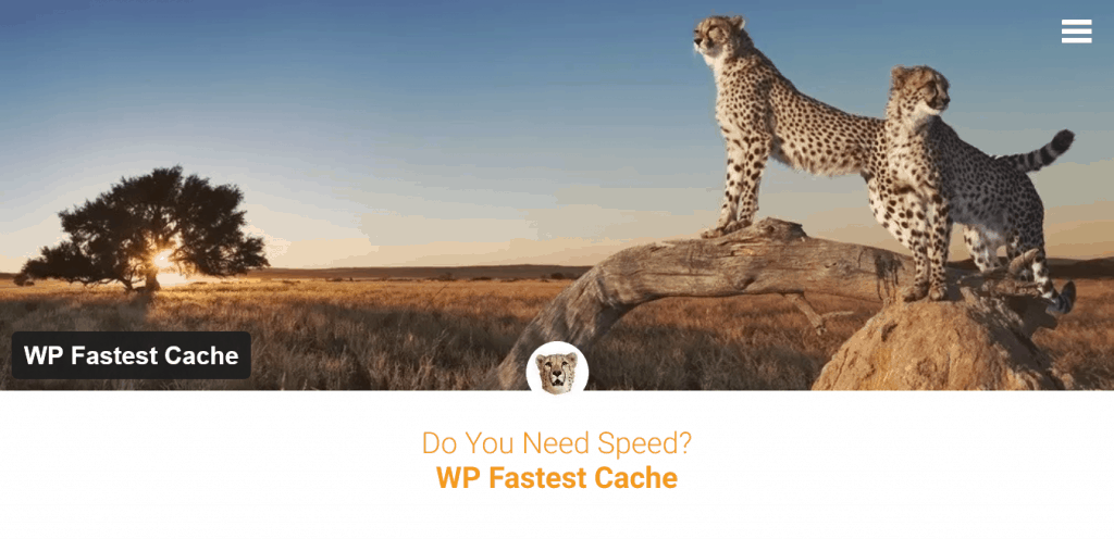 WordPress caching, alles wat je moet weten over server en browser caching. 20