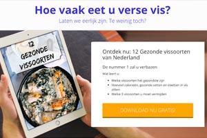 De ultieme gids voor het maken van de perfecte WordPress landingspagina 4